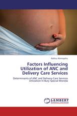 Factors Influencing Utilization of ANC and Delivery Care Services