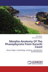 Morpho-Anatomy Of The Phaeophycota From Karachi Coast