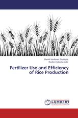 Fertilizer Use and Efficiency of Rice Production