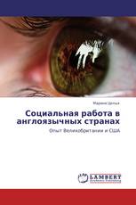 Социальная работа в англоязычных странах