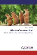 Effects of Observation