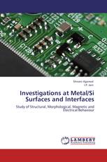 Investigations at Metal/Si Surfaces and Interfaces