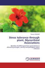 Stress tolerance through plant, Mycorrhizal Associations