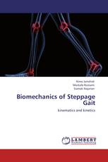 Biomechanics of Steppage Gait