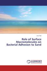 Role of Surface Macromolecules on Bacterial Adhesion to Sand