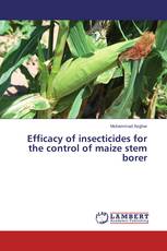 Efficacy of insecticides for the control of maize stem borer