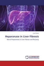 Heparanase in Liver Fibrosis