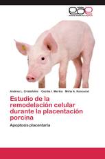 Estudio de la remodelación celular durante la placentación porcina