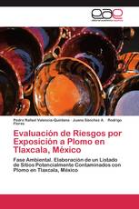 Evaluación de Riesgos por Exposición a Plomo en Tlaxcala, México