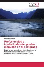 Profesionales e intelectuales del pueblo mapuche en el postgrado