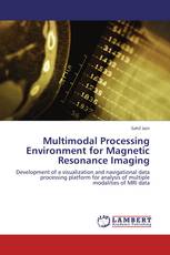 Multimodal Processing Environment for Magnetic Resonance Imaging