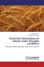 Character Association of wheat under drought condition