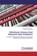 Minimum Convex-Cost Network Flow Problems
