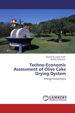 Techno-Economic Assessment of Olive Cake Drying Dystem