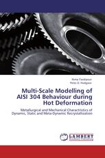 Multi-Scale Modelling of AISI 304 Behaviour during Hot Deformation