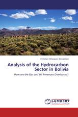 Analysis of the Hydrocarbon Sector in Bolivia