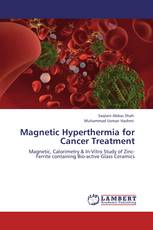 Magnetic Hyperthermia for Cancer Treatment