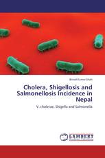 Cholera, Shigellosis and Salmonellosis Incidence in Nepal