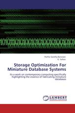 Storage Optimization For Miniature Database Systems