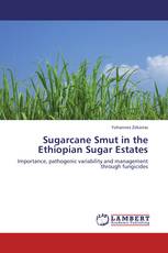 Sugarcane Smut in  the Ethiopian Sugar Estates