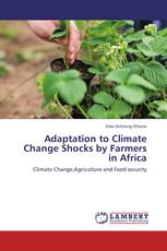 Adaptation to Climate Change Shocks by Farmers in Africa