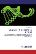 Origins of Y Genome in Elymus