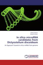 In silico  microRNA candidates from  Dictyostelium discoideum