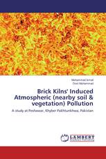Brick Kilns' Induced Atmospheric (nearby soil & vegetation) Pollution
