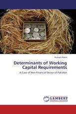 Determinants of Working Capital Requirements