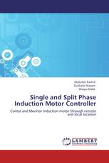 Single and Split Phase Induction Motor Controller