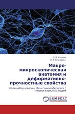 Макро-микроскопическая анатомия и деформативно-прочностные свойства