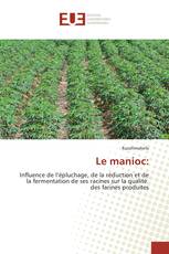 Le manioc: