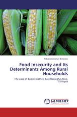 Food Insecurity and Its Determinants Among Rural Households