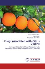 Fungi Associated with Citrus Decline
