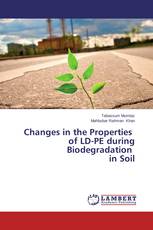 Changes in the Properties of LD-PE during Biodegradation in Soil