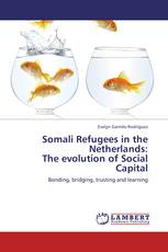 Somali Refugees in the Netherlands:  The evolution of Social Capital