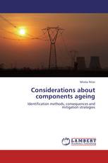 Considerations about components ageing