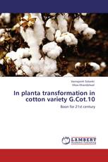 In planta transformation in cotton variety  G.Cot.10