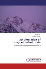 3D simulation of magnetotelluric data