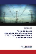 Измерение и экономическая оценка услуг электросетевых предприятий