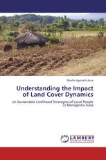 Understanding the Impact of Land Cover Dynamics