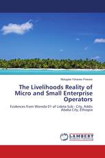 The Livelihoods Reality of Micro and Small Enterprise Operators