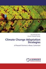Climate Change Adaptation Strategies