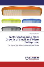 Factors Influencing Slow Growth of Small and Micro Enterprises: