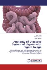 Anatomy of Digestive System of pigeon with regard to age