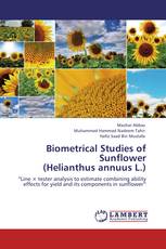 Biometrical Studies of Sunflower  (Helianthus annuus L.)