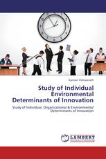 Study of Individual  Environmental Determinants of Innovation