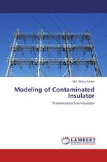 Modeling of Contaminated Insulator