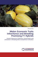 Melon Economic Traits Inheritance and Breeding Promising F1 Hybrids