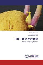 Yam Tuber Maturity